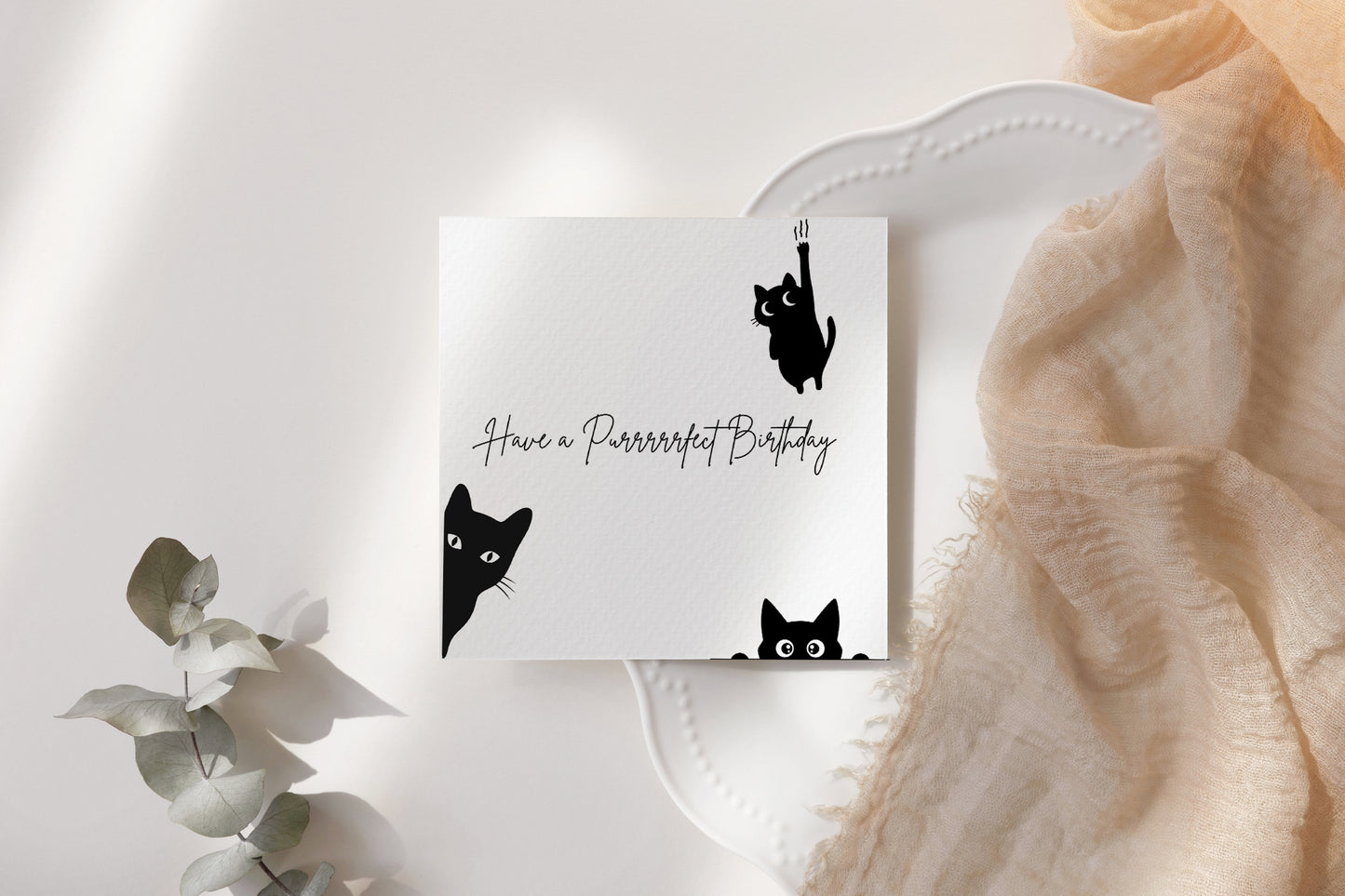 Cat Greeting Card, Black Cat Birthday Card