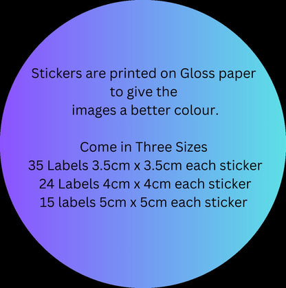 Personalised Photo Picture image,  Labels Custom Stickers, Children's Birthday Party,  Thank You Party Bag, Personalised stickers