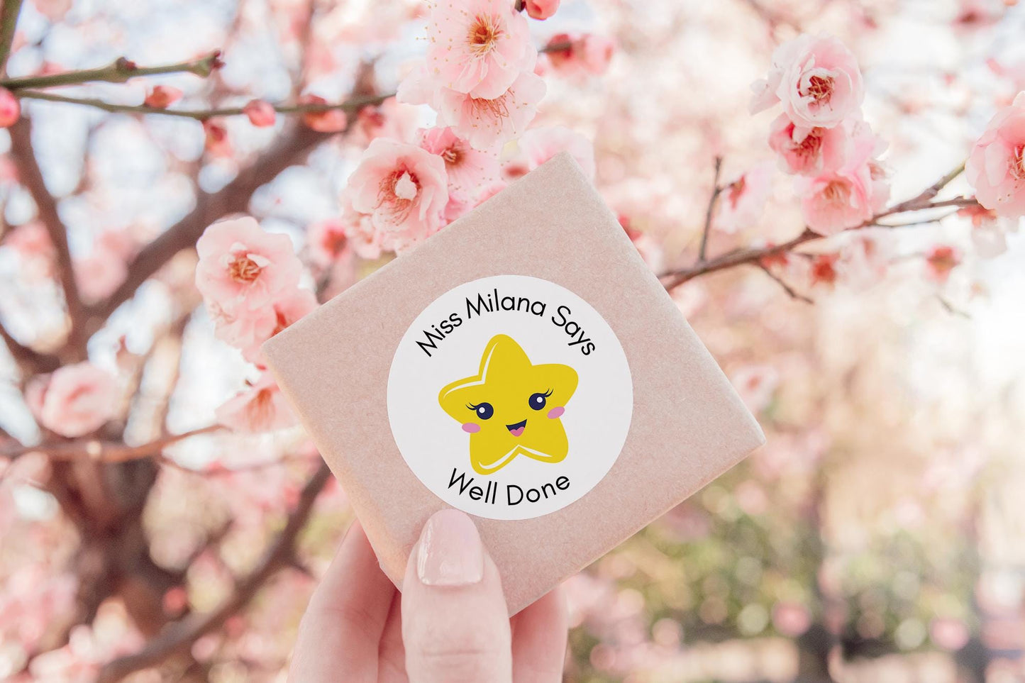 Well done Teacher Stickers ,Well done label, Personalised Teacher Stickers, Marking Work, School Stationary,  Class room sticker