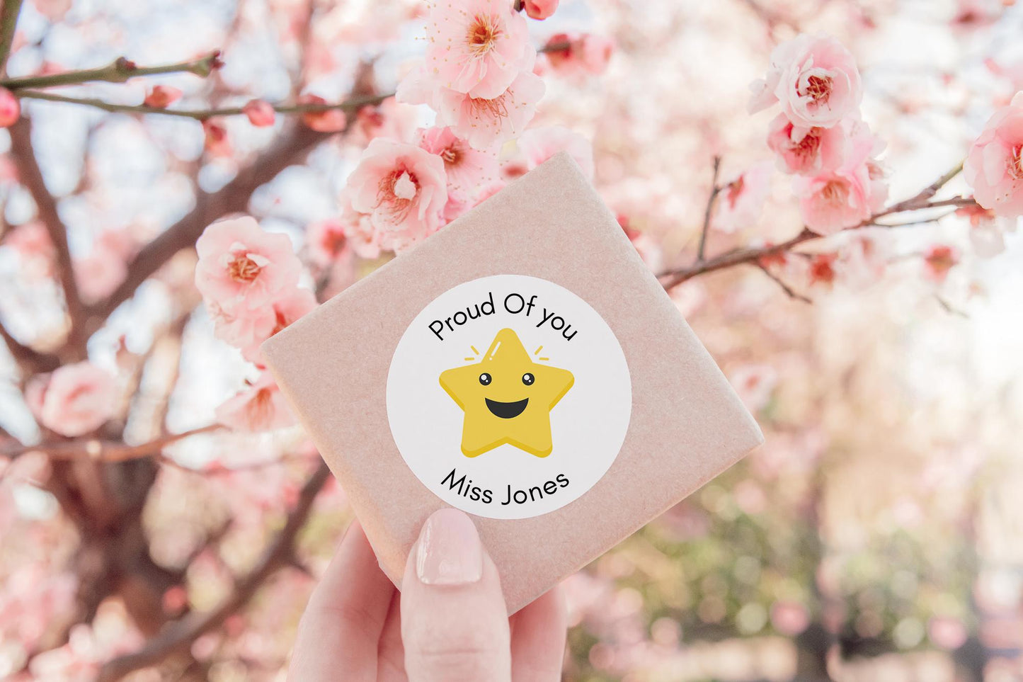 Well done Teacher Stickers ,proud of you label, Personalised Teacher Stickers, Marking Work, School Stationary,  Class room sticker