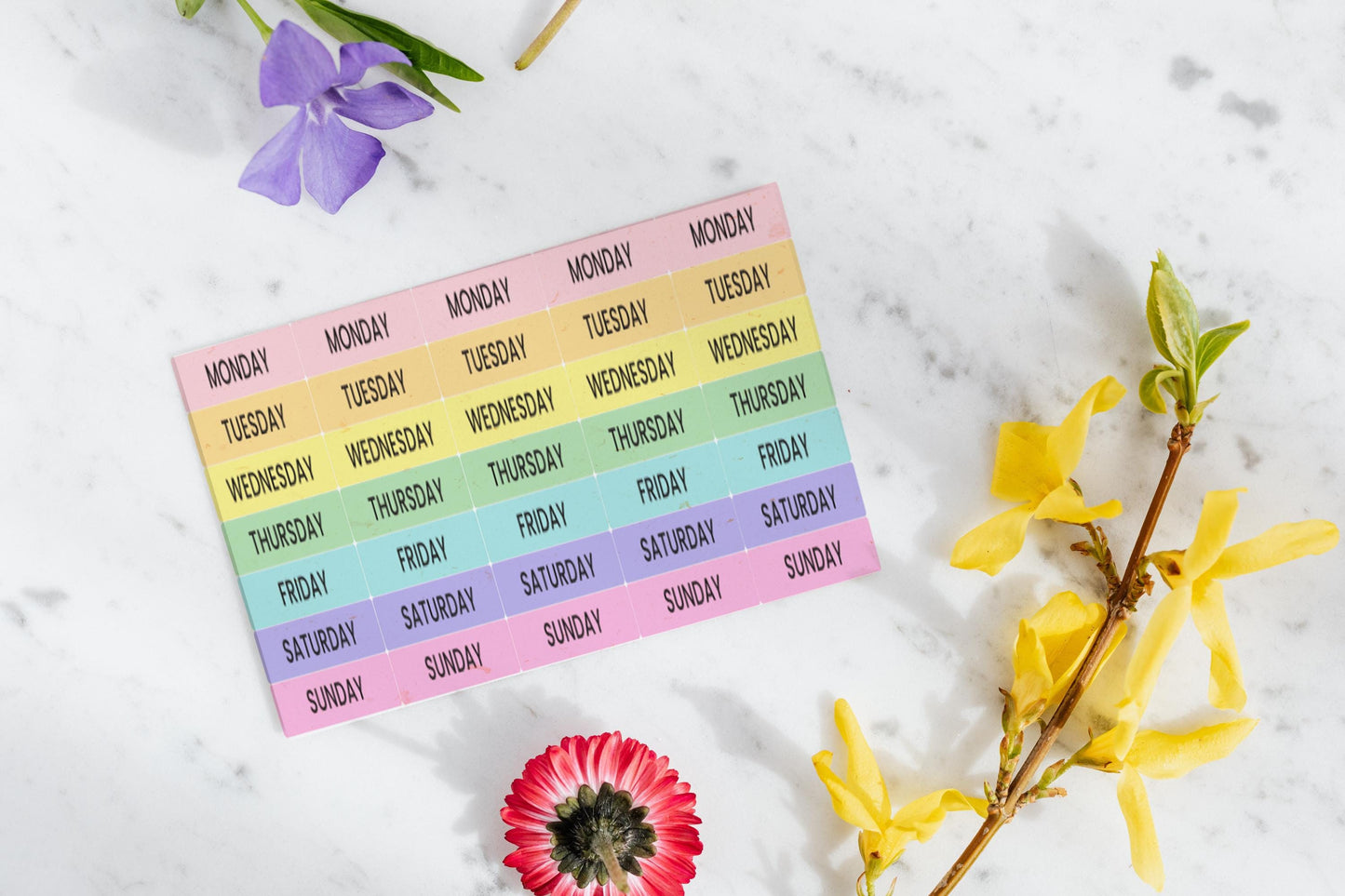 Days of the Week Stickers, Weekday stickers, pastel planner stickers, Labels for diaries, planner Stickers