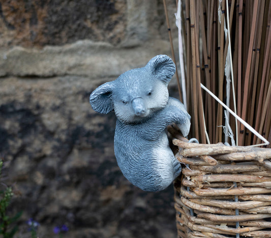 Koala Hanging pot buddy