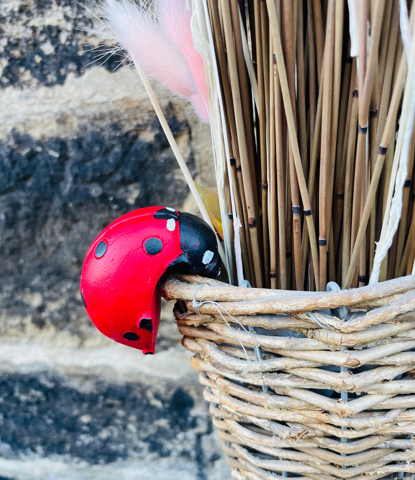 Ladybird Pot Hanger, Gift ideas for garden lovers, Ladybird Ornament Garden and Home, unique gifts